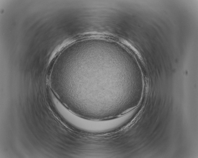 X0000085061357200704021334