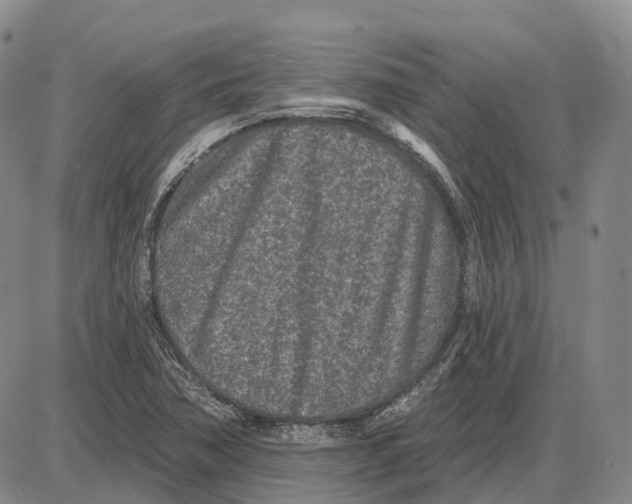 X0000085061362200704021334