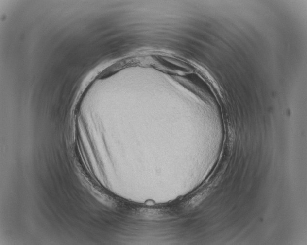 X0000085061371200704021334