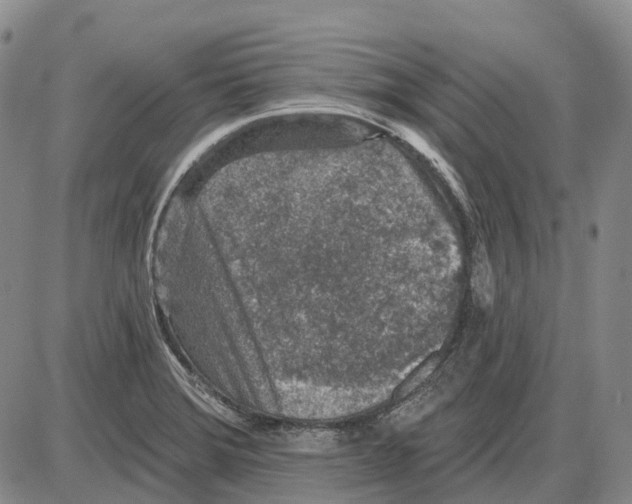 X0000085061372200704021334