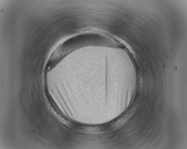 X0000085061375200704021334