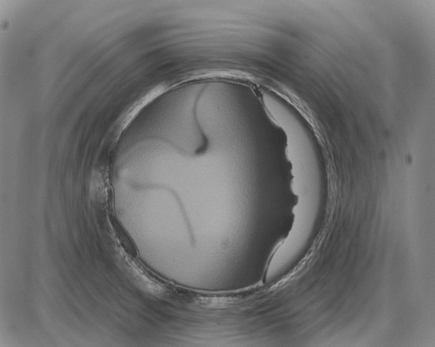 X0000085061377200704021334