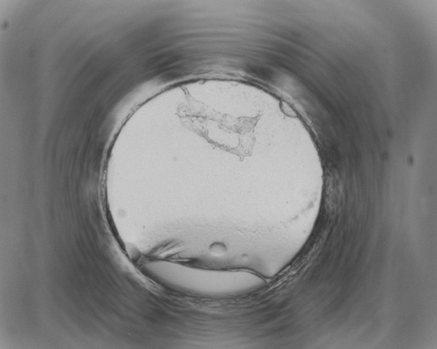 X0000085061379200704021334