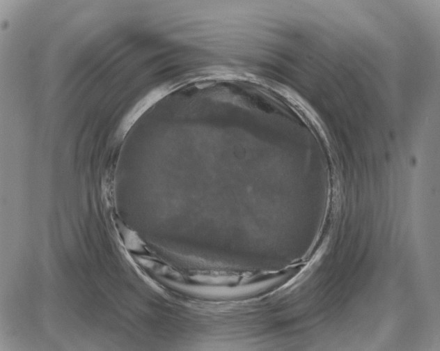 X0000085061385200704021334