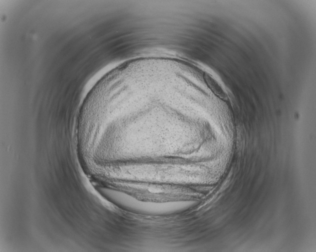 X0000085061387200704021334