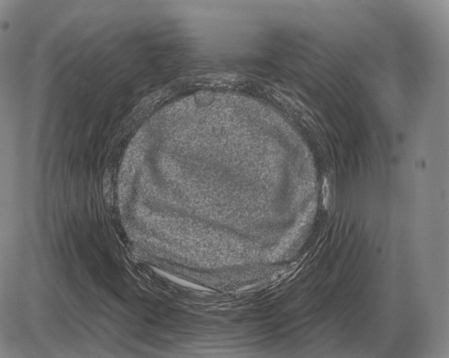 X0000085061395200704021333