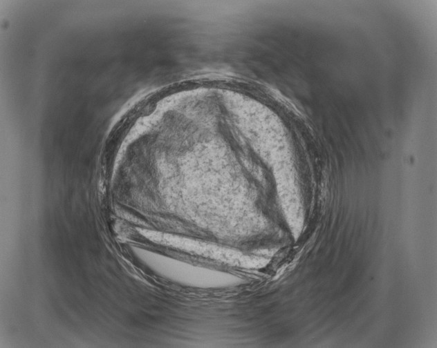 X0000085061400200704021333