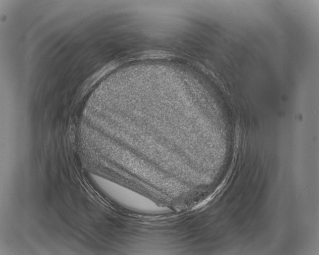 X0000085061401200704021333