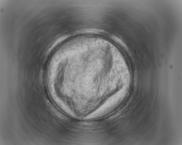 X0000085061404200704021333