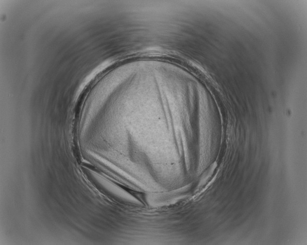 X0000085061410200704021333