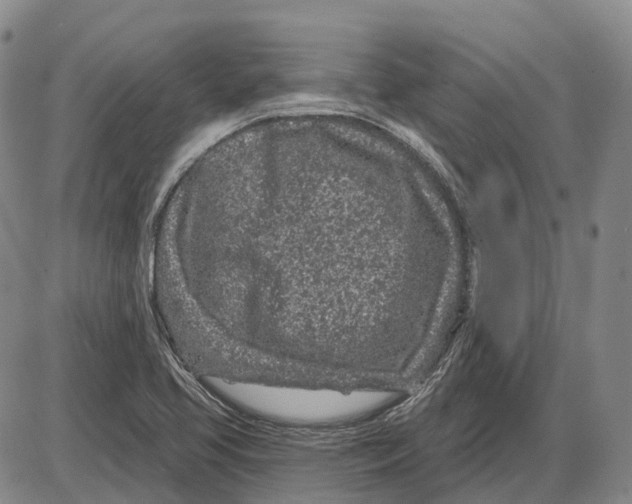 X0000085061413200704021333