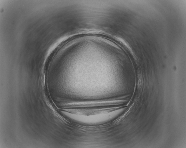 X0000085061414200704021333
