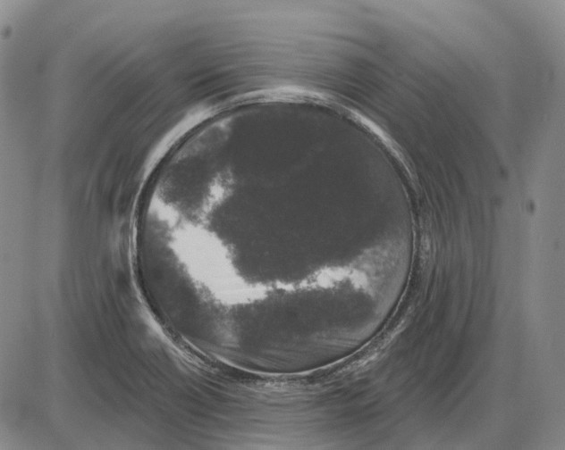 X0000085061418200704021333