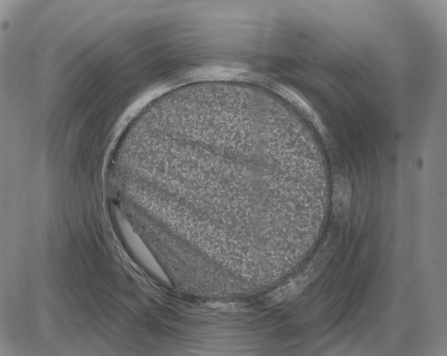 X0000085061419200704021333