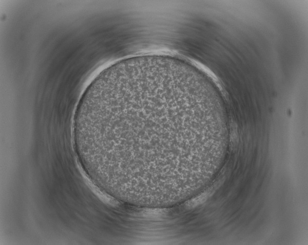 X0000085061423200704021333