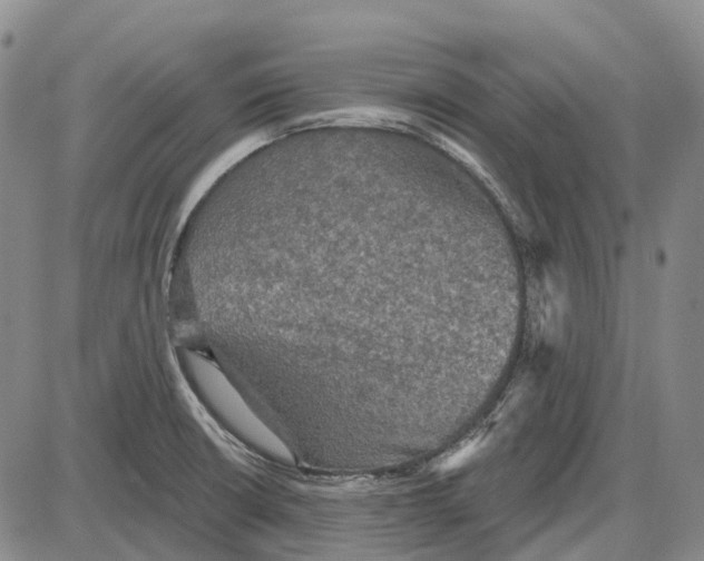 X0000085061426200704021333