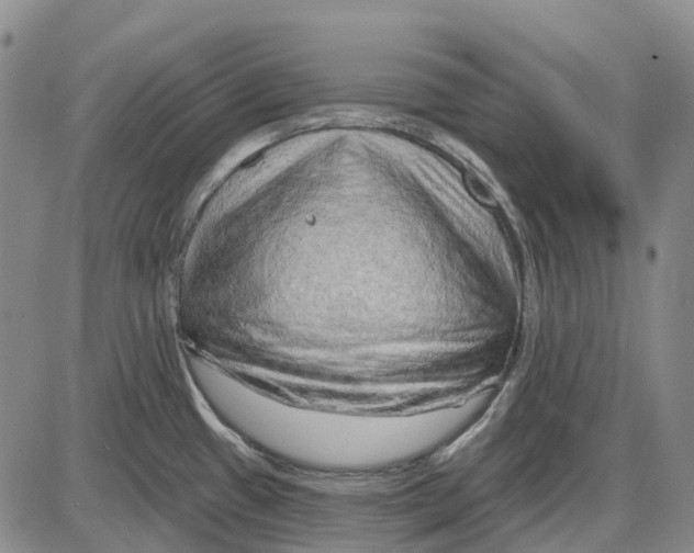 X0000085061433200704021333