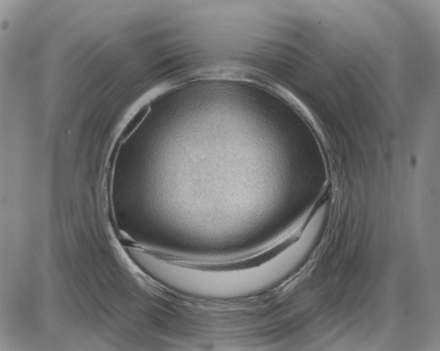 X0000085061434200704021333
