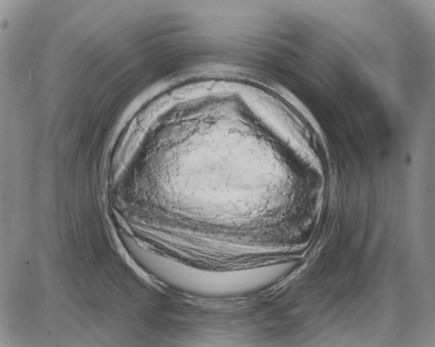 X0000085061437200704021334