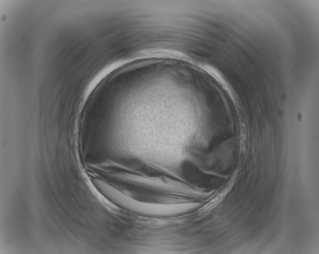 X0000085061438200704021334