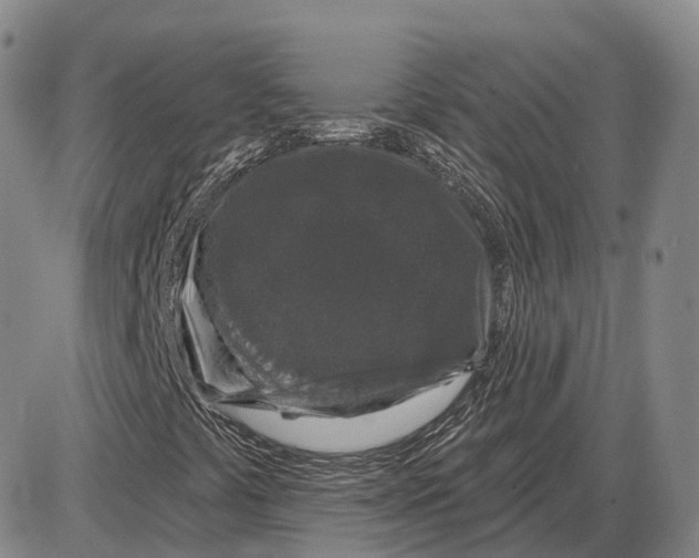 X0000085061441200704021333