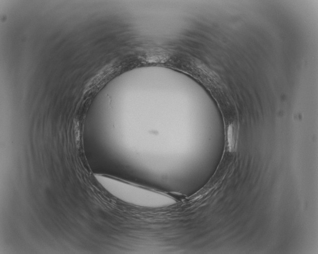 X0000085061443200704021333