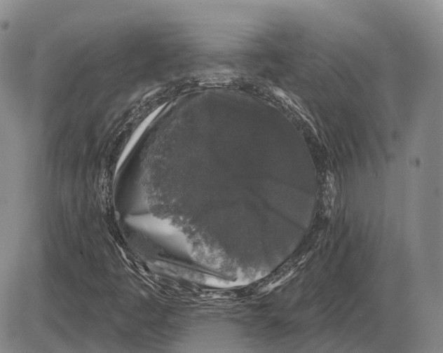 X0000085061445200704021333