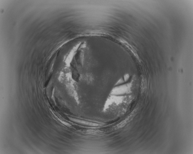 X0000085061449200704021333