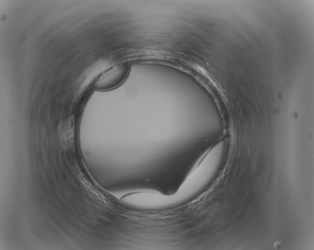 X0000085061450200704021333
