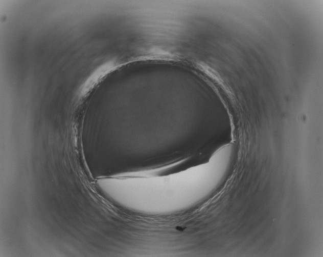 X0000085061455200704021333