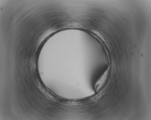 X0000085061458200704021332