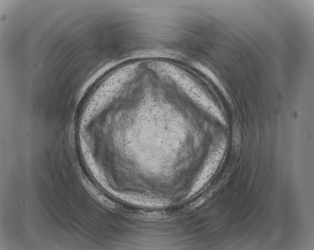 X0000085061460200704021332