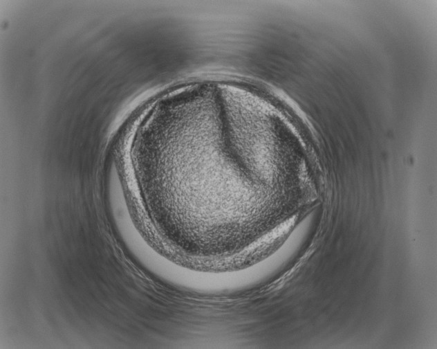 X0000085061461200704021332