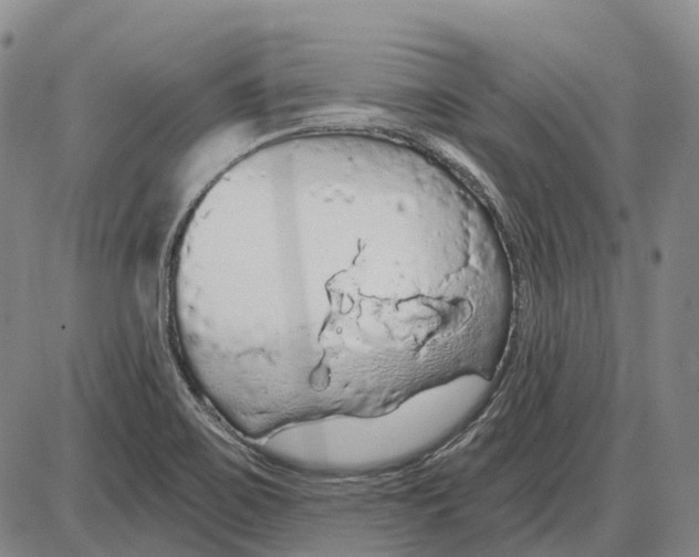 X0000085061467200704021332