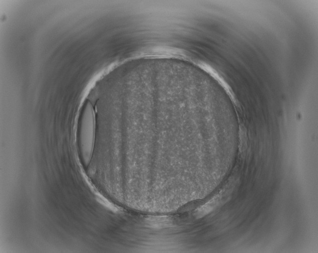 X0000085061477200704021332