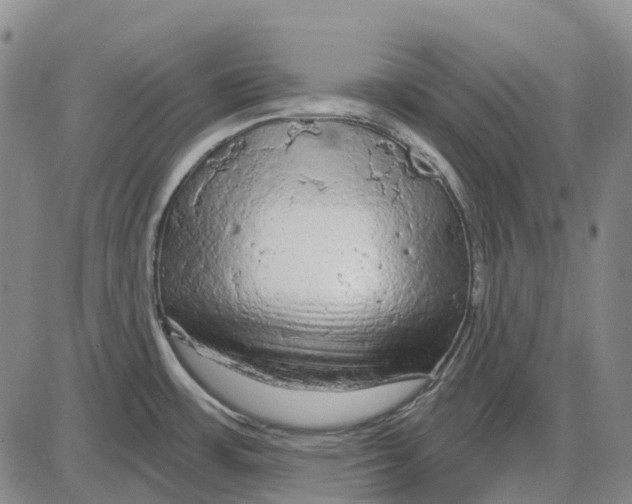 X0000085061483200704021332