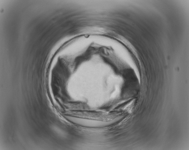 X0000085061488200704021332