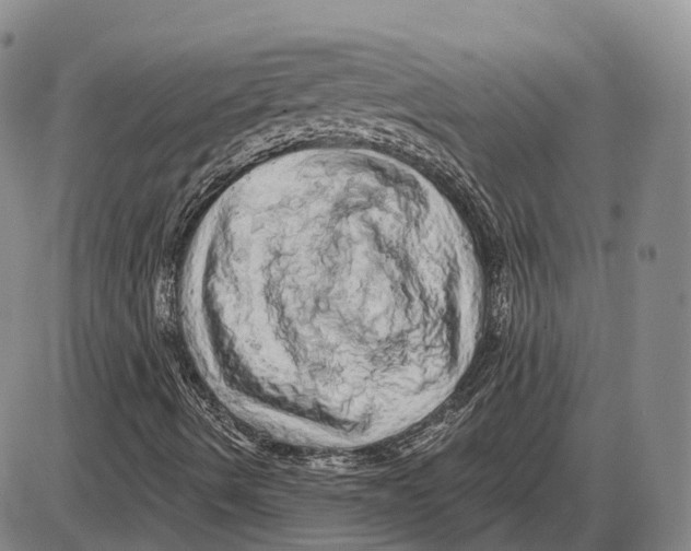 X0000085061490200704021331