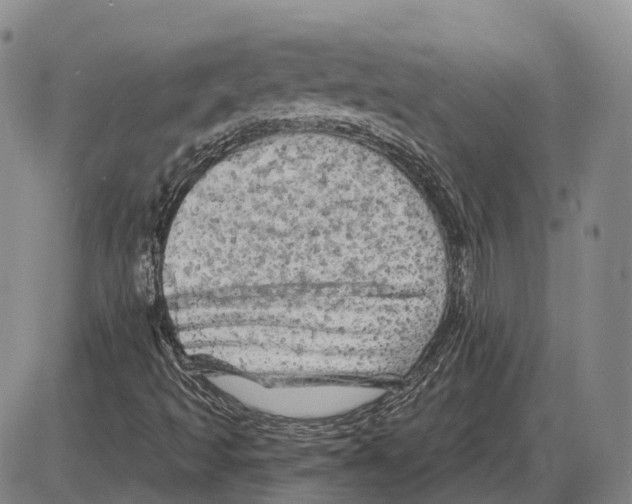 X0000085061493200704021331