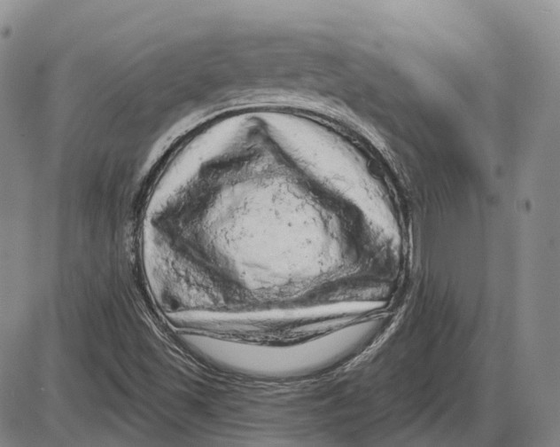 X0000085061501200704021331
