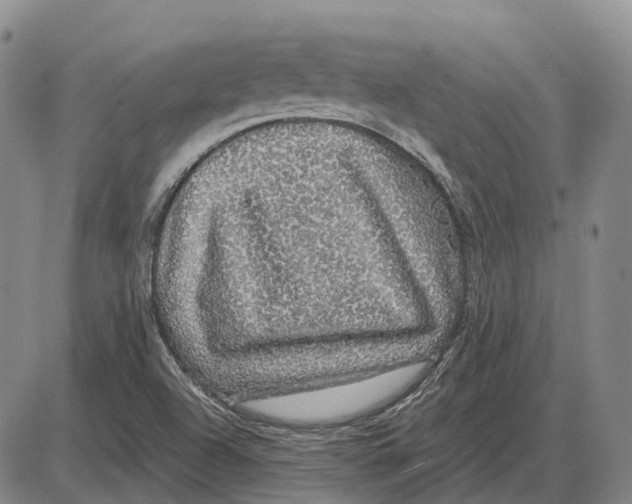 X0000085061504200704021331