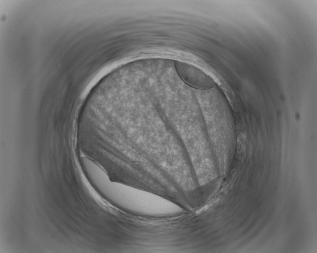 X0000085061523200704021332