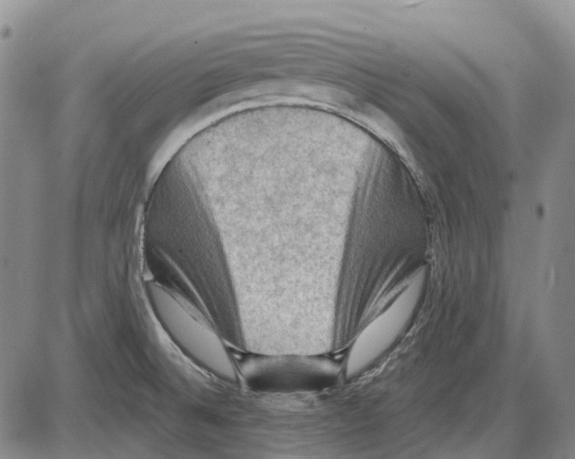 X0000085061524200704021332