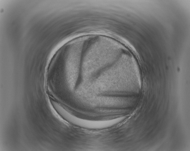 X0000085061528200704021332
