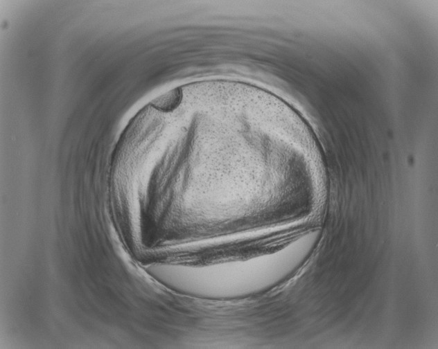 X0000085061534200704021332