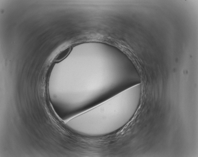 X0000085070054200703051109
