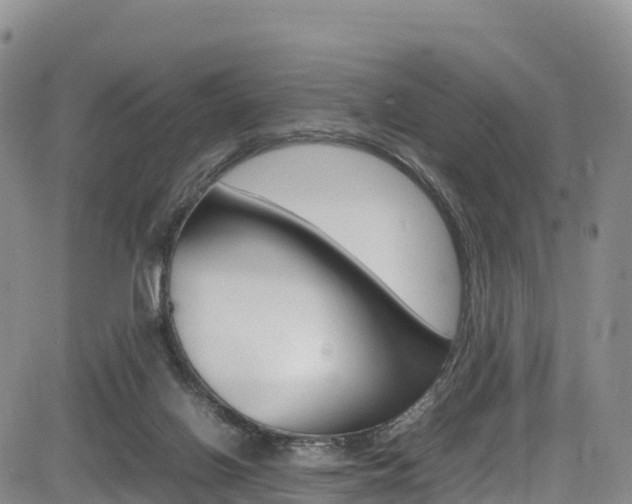 X0000085070070200703051109