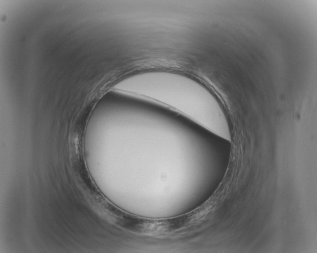X0000085070117200703051108