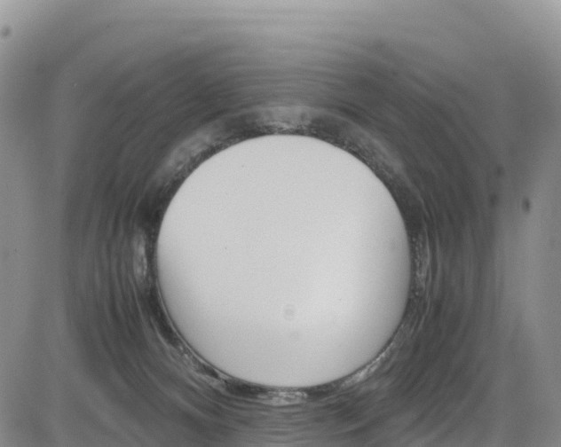 X0000085070128200703051108