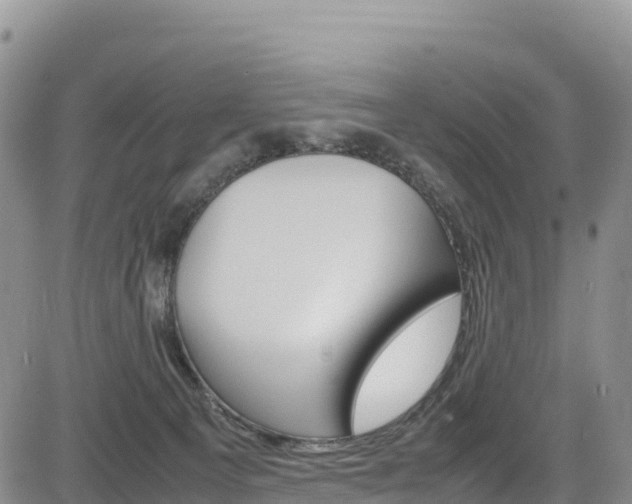 X0000085070129200703051108